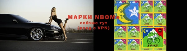 молекула духа Белокуриха