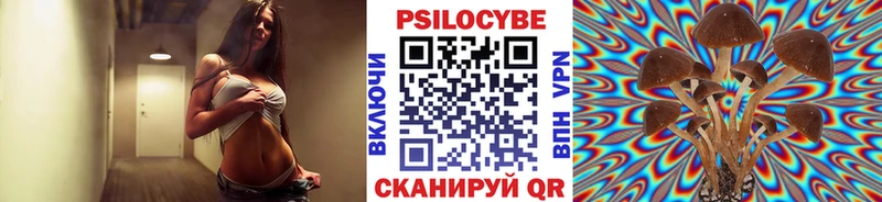 мега зеркало  купить наркотики сайты  Ялуторовск  Псилоцибиновые грибы ЛСД 